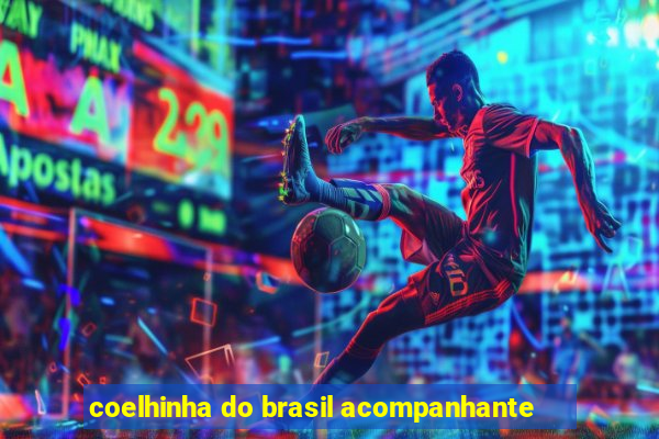 coelhinha do brasil acompanhante